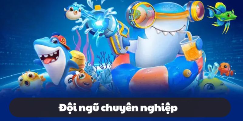 Đội ngũ hỗ trợ 24/7