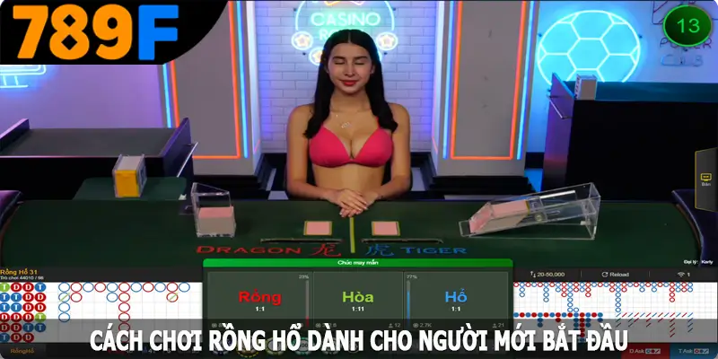 Hướng Dẫn Chơi Rồng Hổ Dành Cho Người Mới