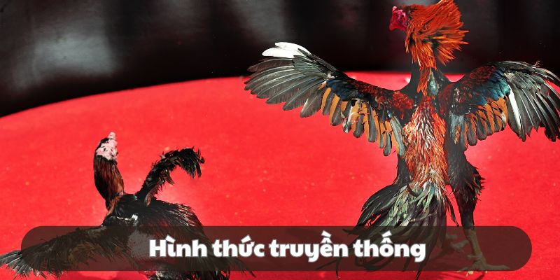 Đá gà hình thức truyền thống