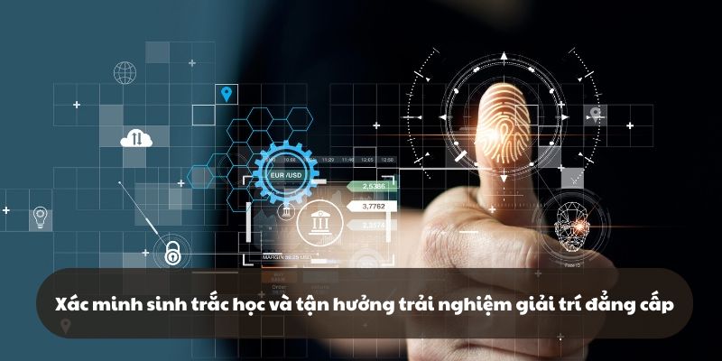 Xác minh hoàn tất để trải nghiệm giải trí