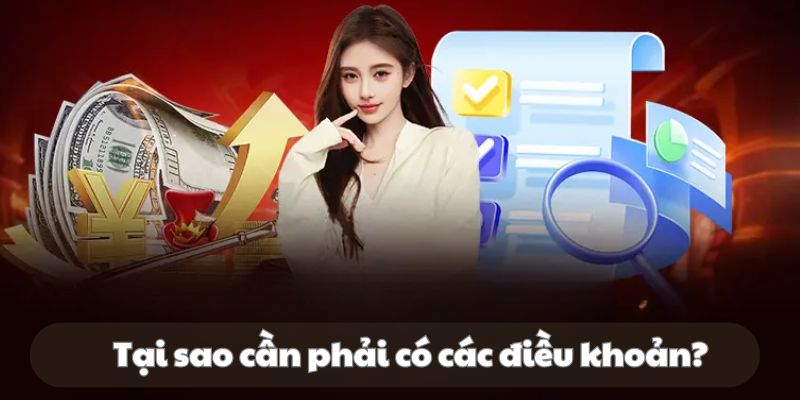 Tại sao cần phải có các điều khoản
